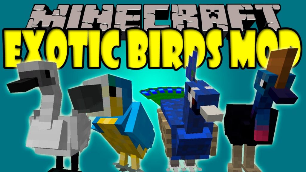 Exotic Birds