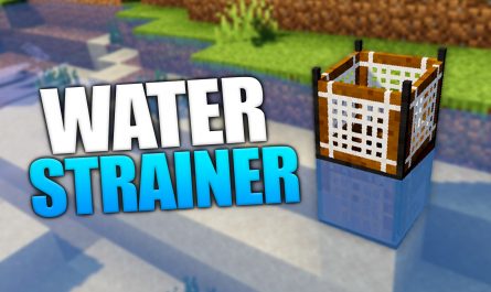 Water Strainer