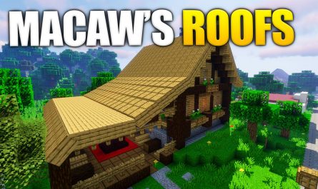 Macaw's Roofs