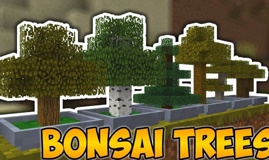 Bonsai Trees 2