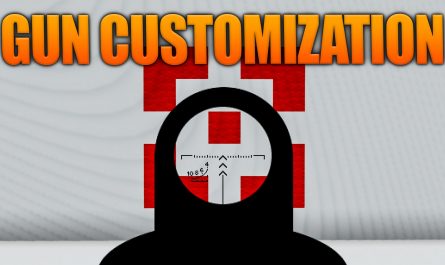 Gun Customization