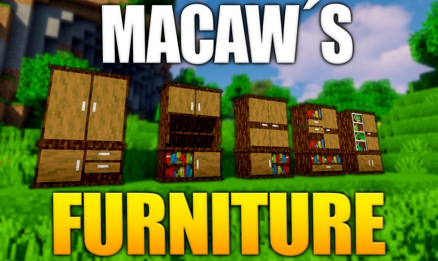 Macaw’s Furniture