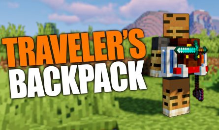 Traveler's Backpack