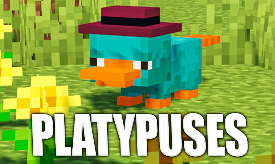 Platypuses
