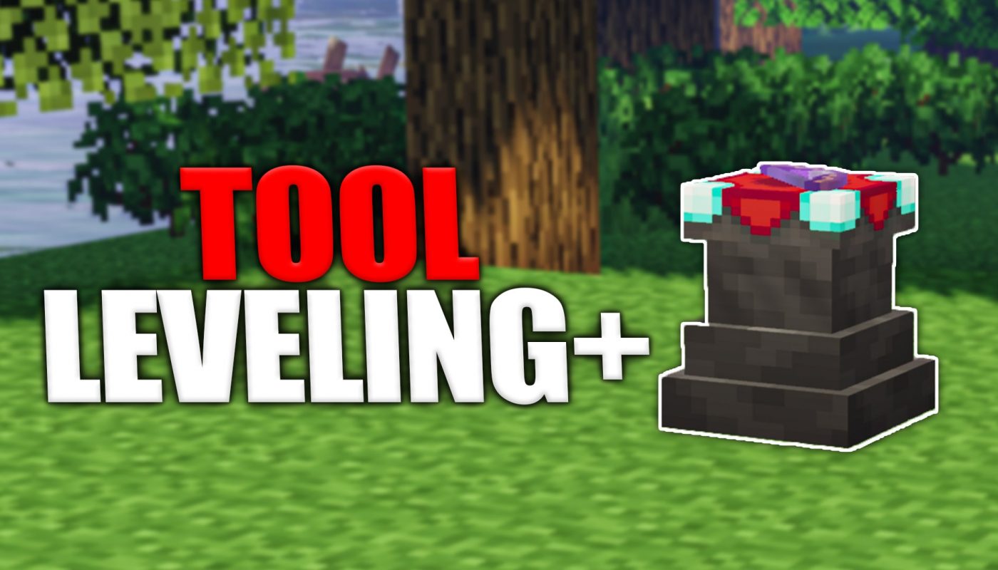 Tool Leveling +